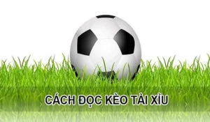 Cách Chơi Kèo Tài Xỉu Chuyên Nghiệp Cho Người Yêu Bóng Đá