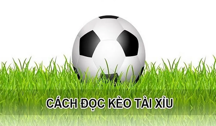 Cách Chơi Kèo Tài Xỉu Chuyên Nghiệp Cho Người Yêu Bóng Đá