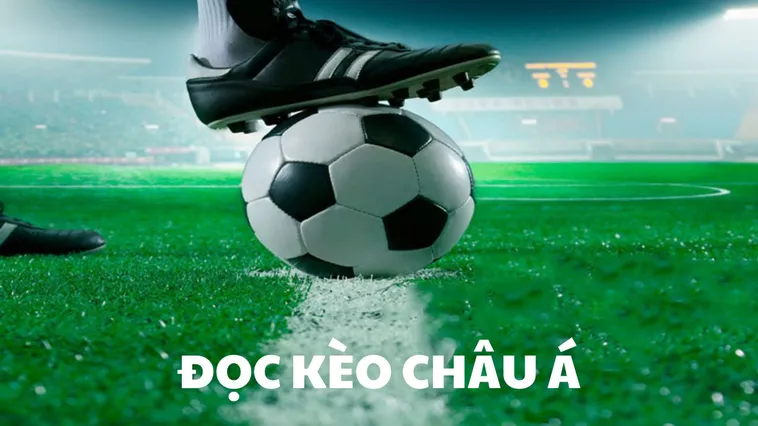 Cách Chơi Kèo Châu Á Chuyên Nghiệp Dành Cho Mọi Đối Tượng