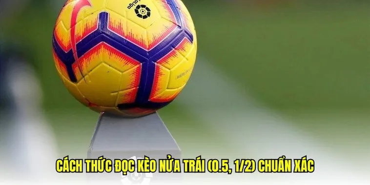 Kinh Nghiệm Đánh Kèo Chấp 0.5 Chắc Thắng Cho Cược Thủ